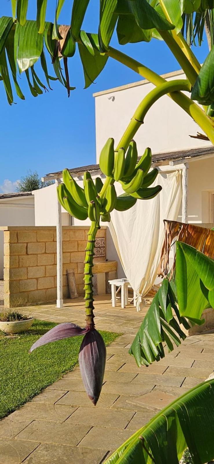 אוטרנטו Tenuta Puloni מראה חיצוני תמונה
